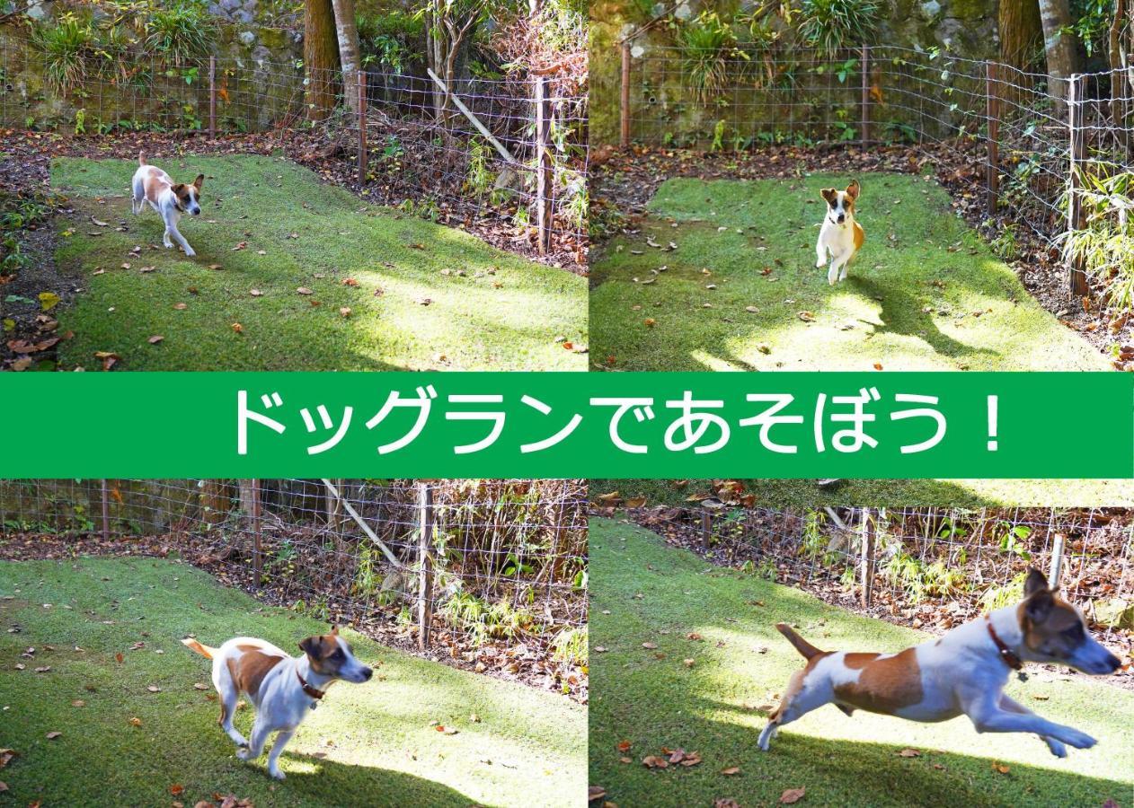Villa Liberte Hakone Gora מראה חיצוני תמונה